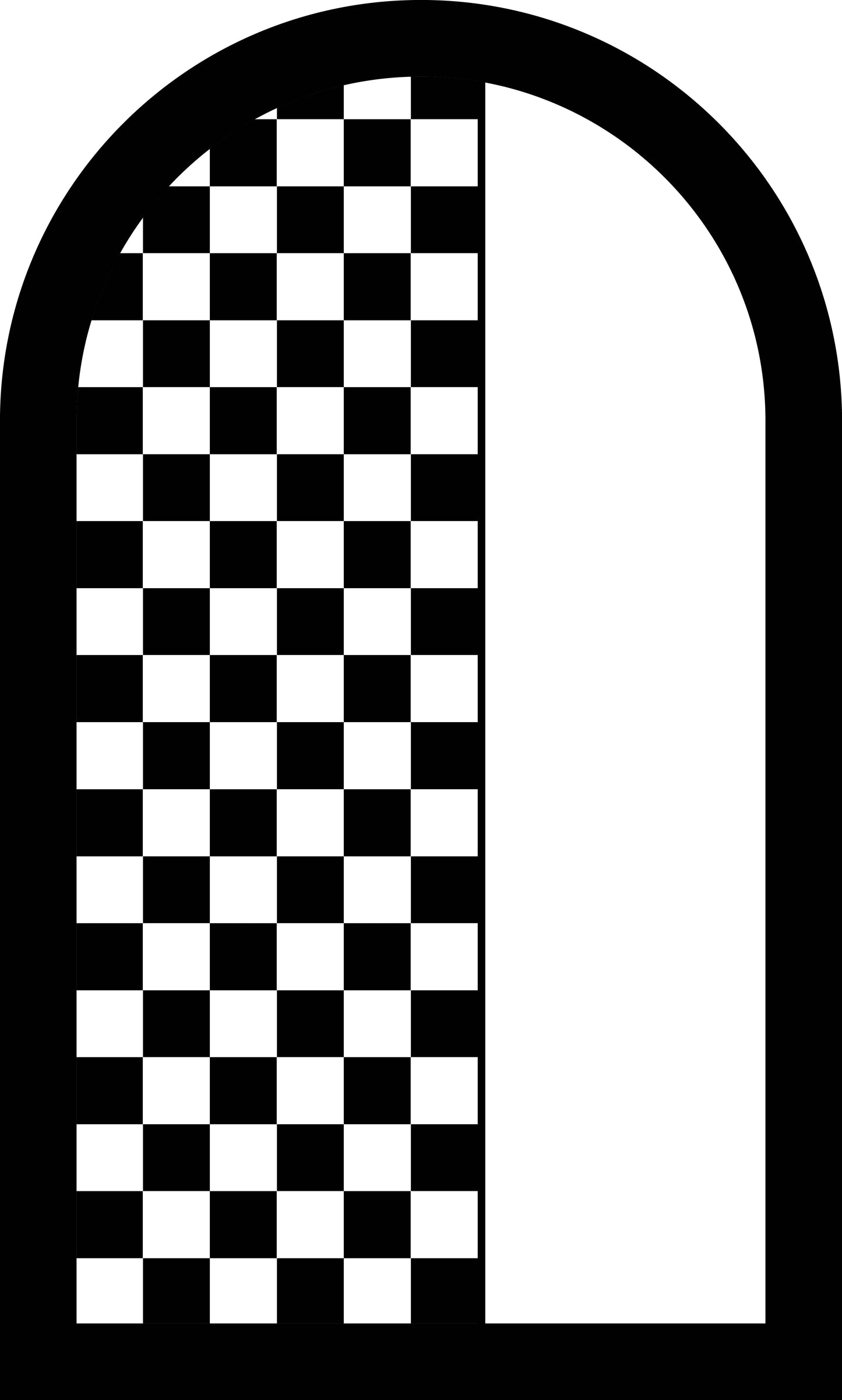 Chequered Racing Sailboard