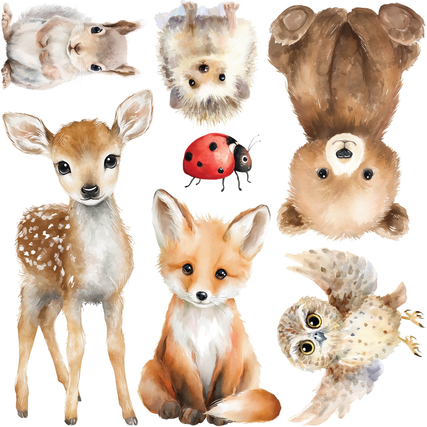 Mini - Forest Friends