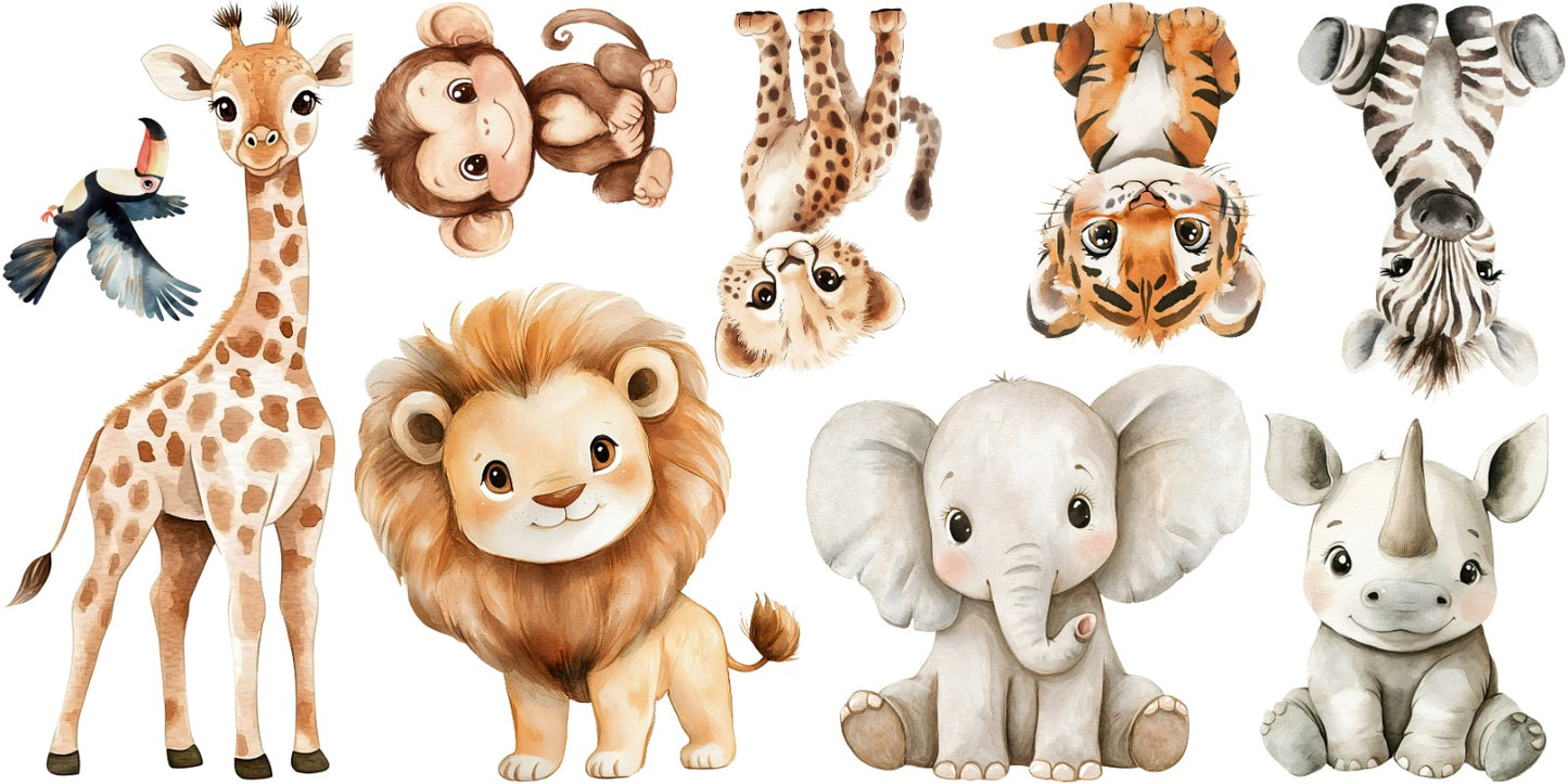 Maxi - Safari Friends