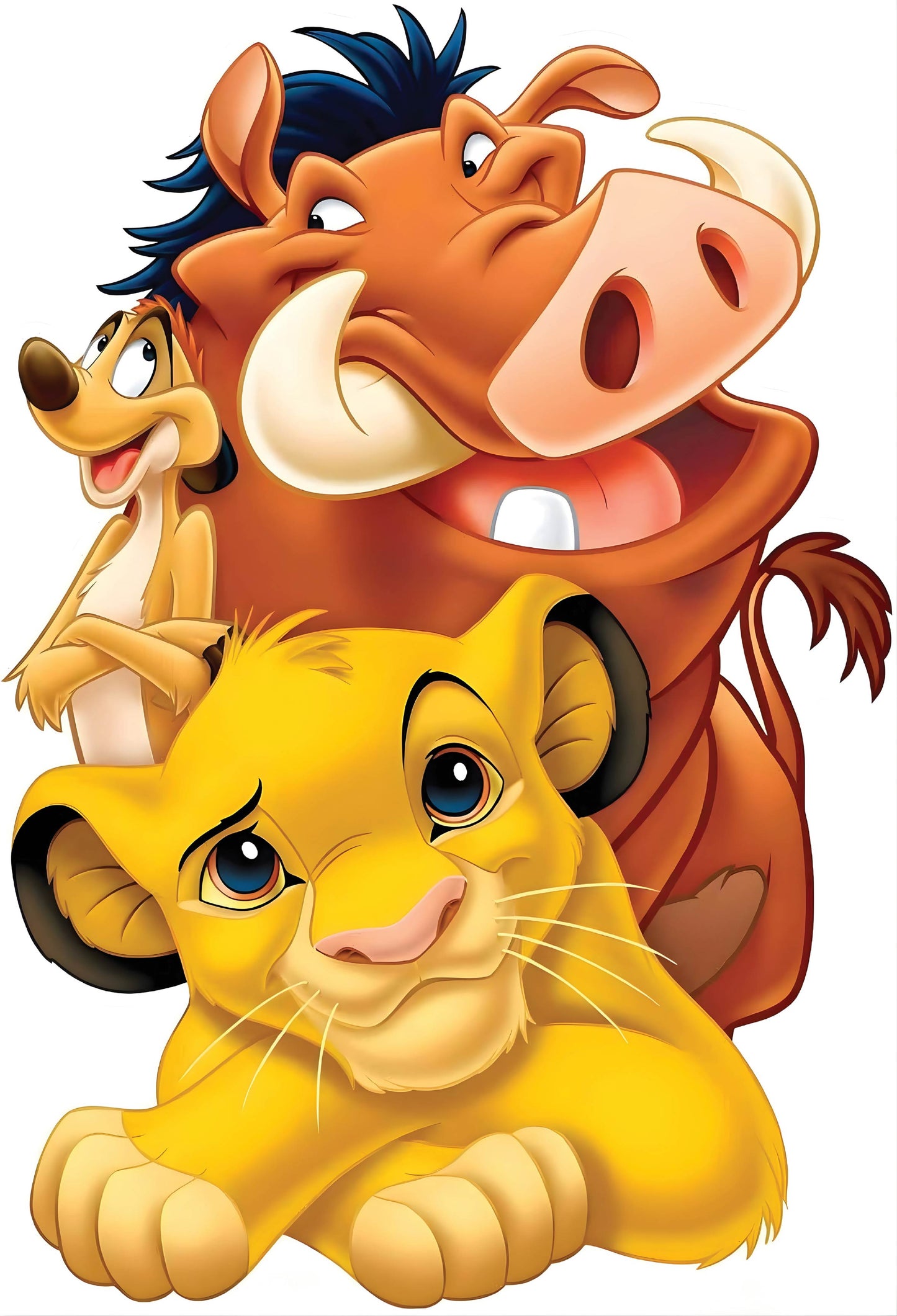 Lion & Friends