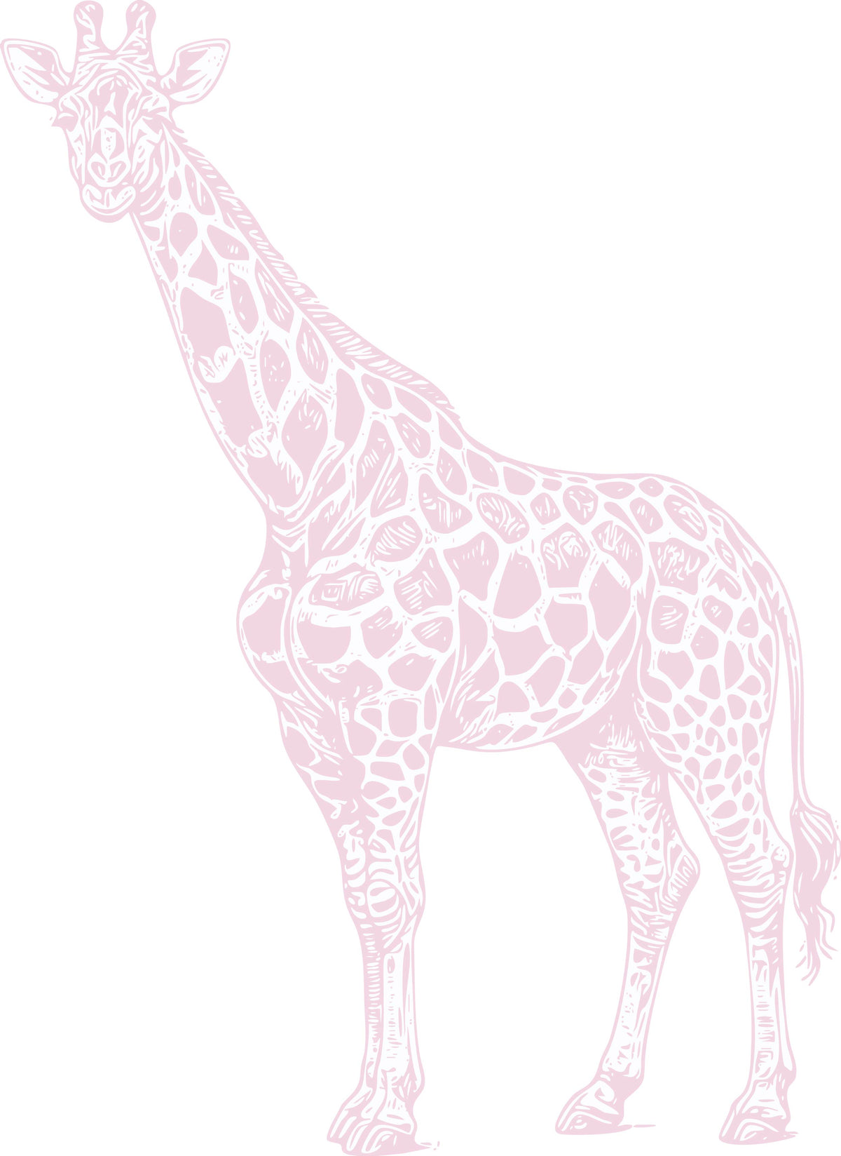 Pink Giraffe