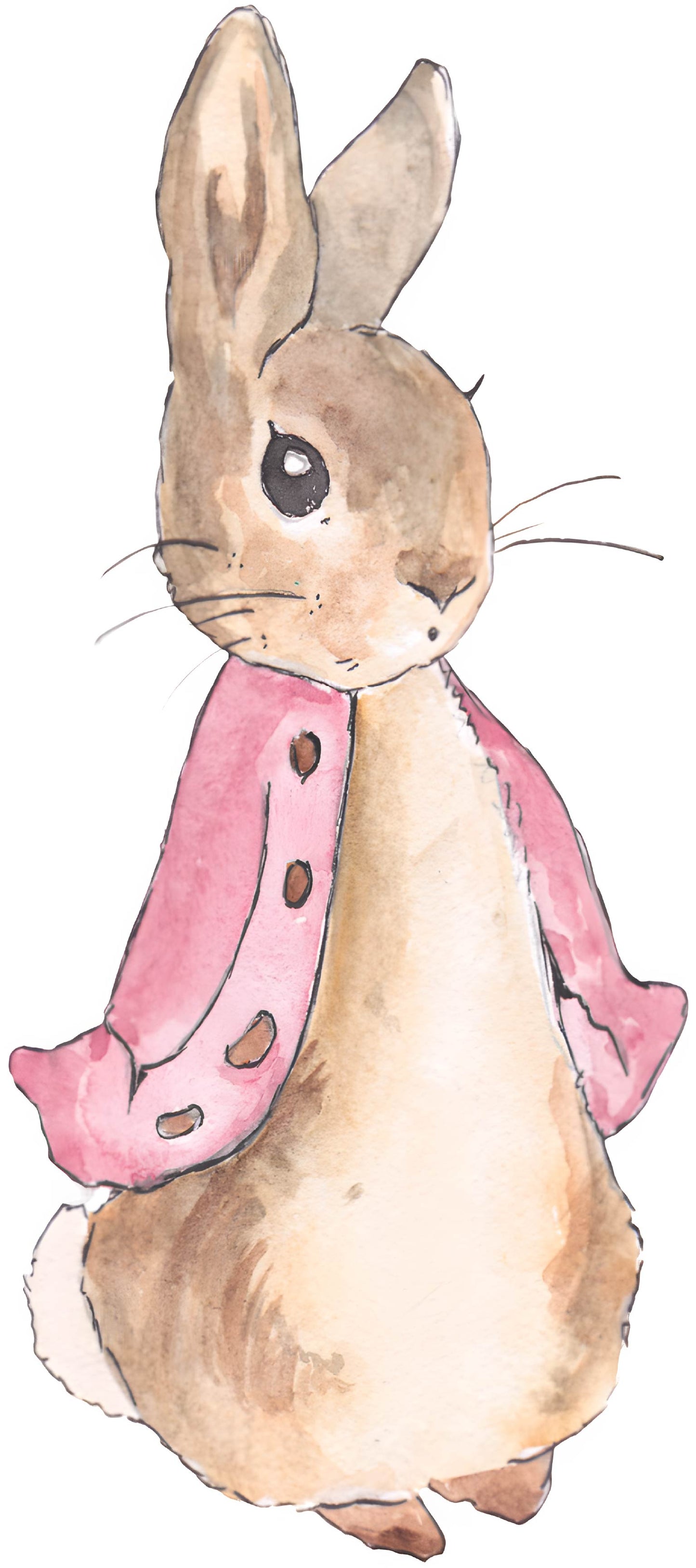 Pink Rabbit