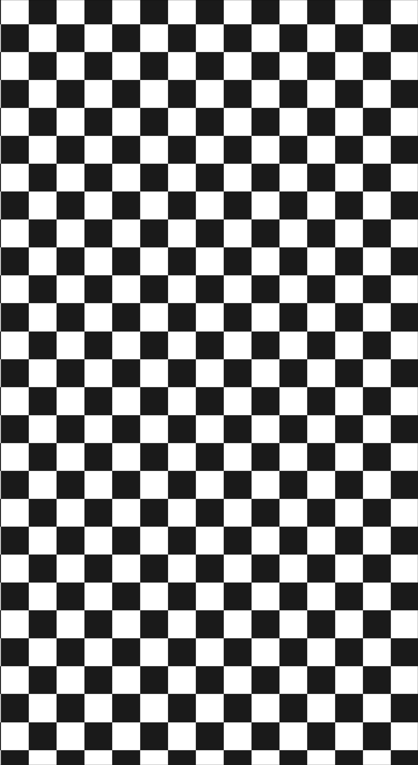 Racing Checkered Sailboard