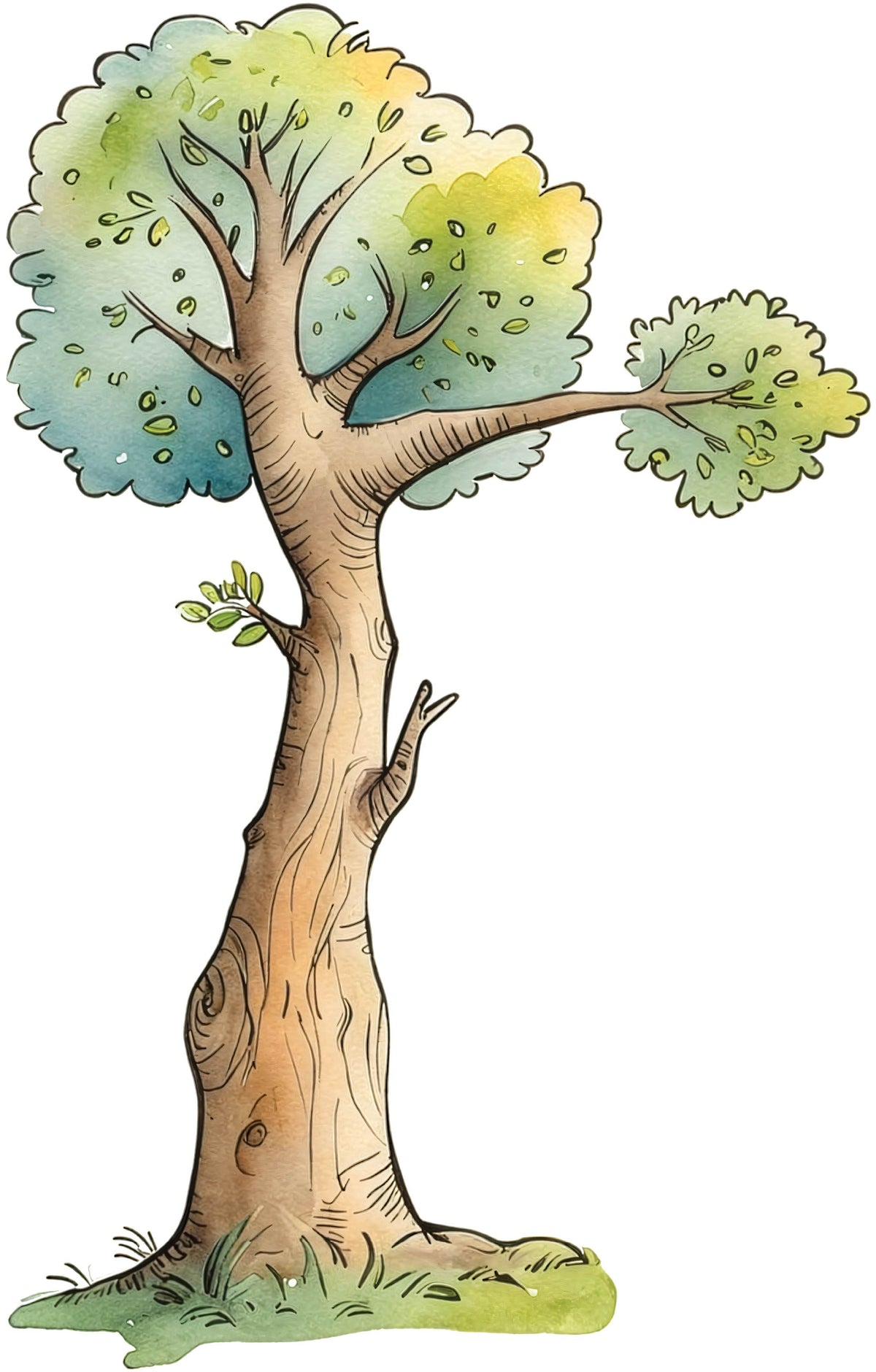 Woodland Tree
