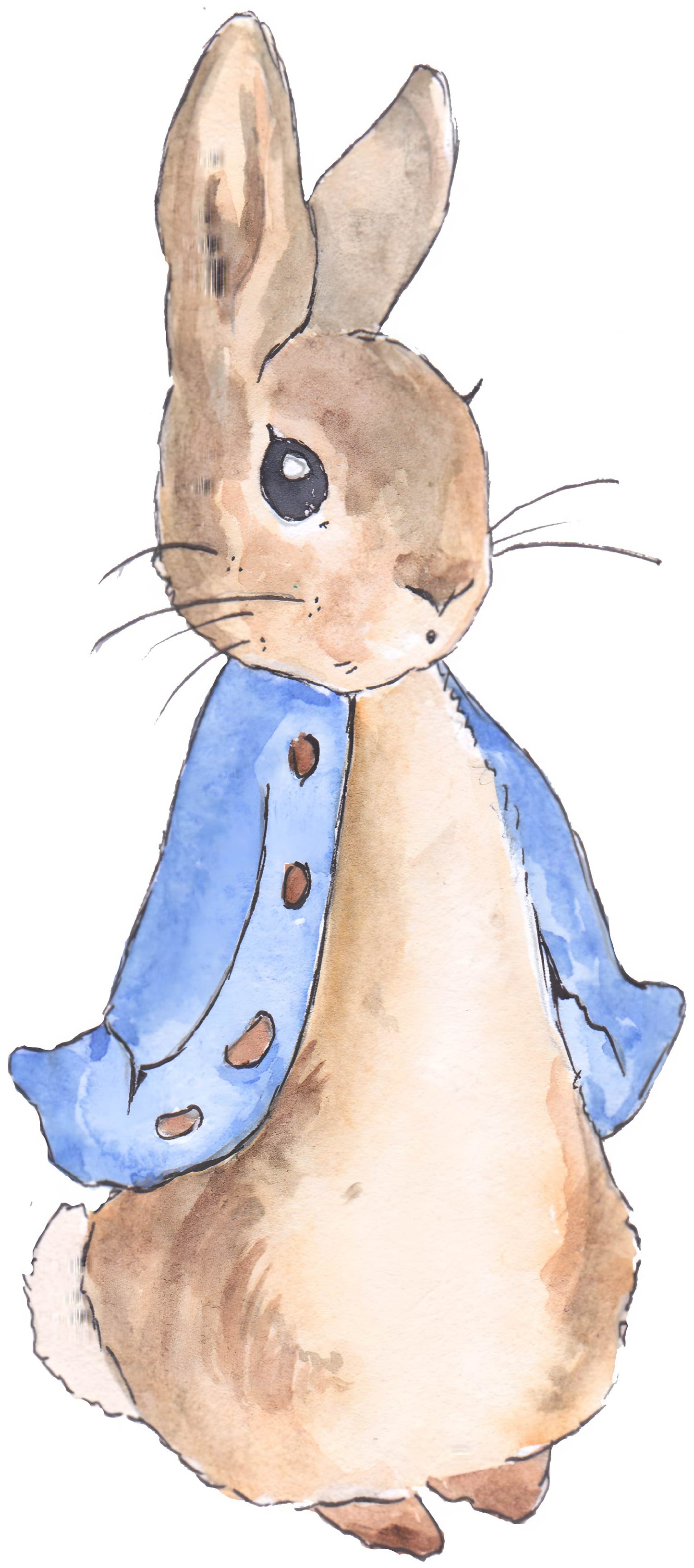 Blue Rabbit