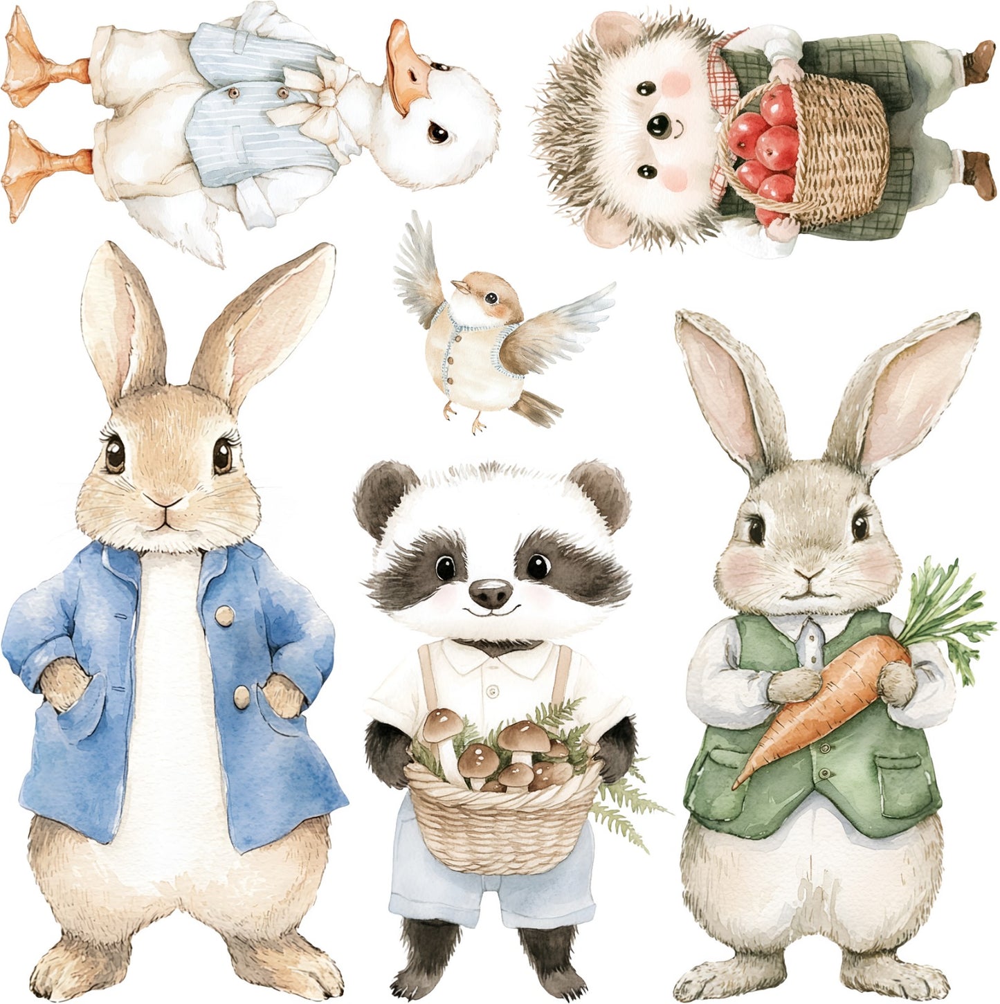 Mini - Boy Bunny & Friends