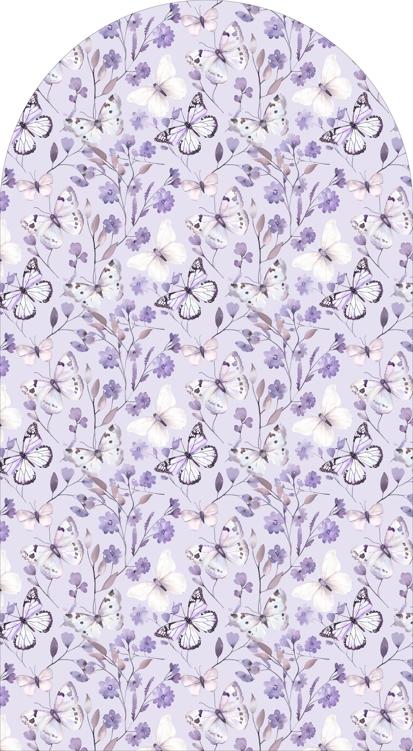 Lilac Butterfly Sailboard