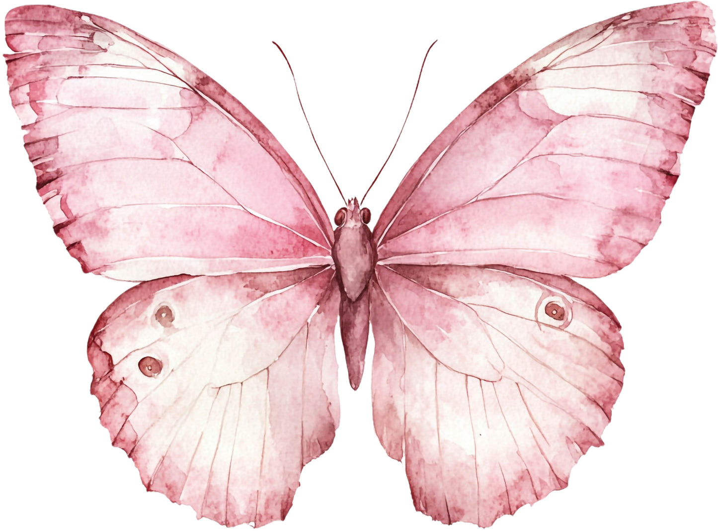 Pink Butterfly