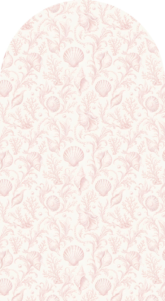 Pink Shell Sailboard