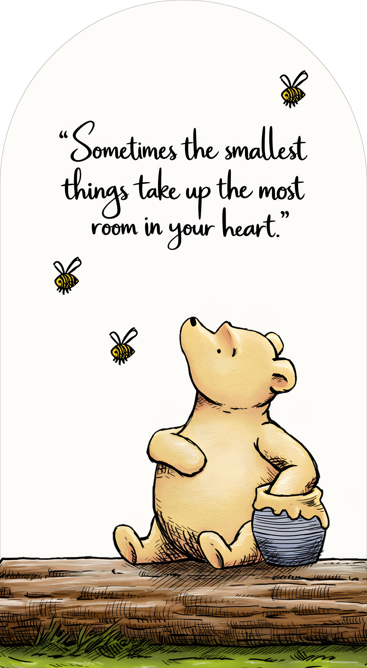 Honey Bear Bee Sailboard