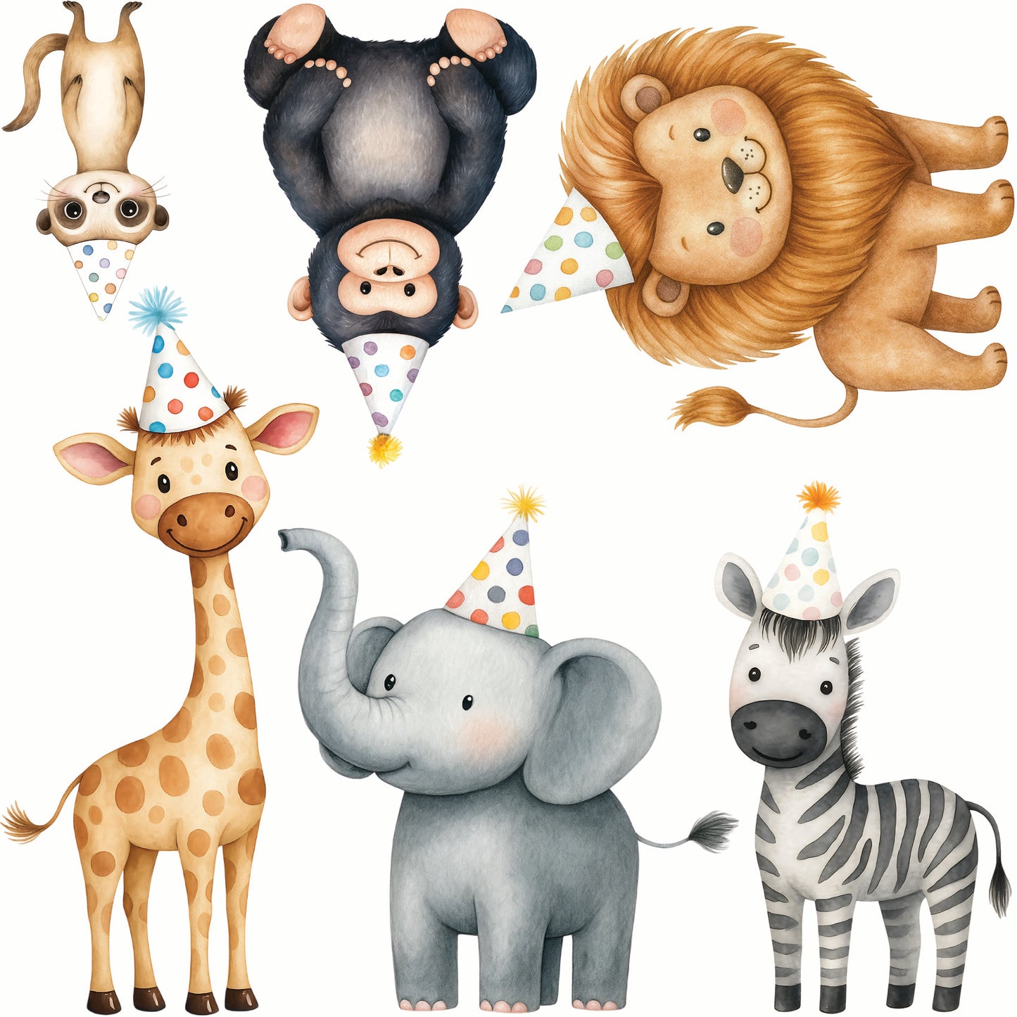 Mini - Party Hat Safari