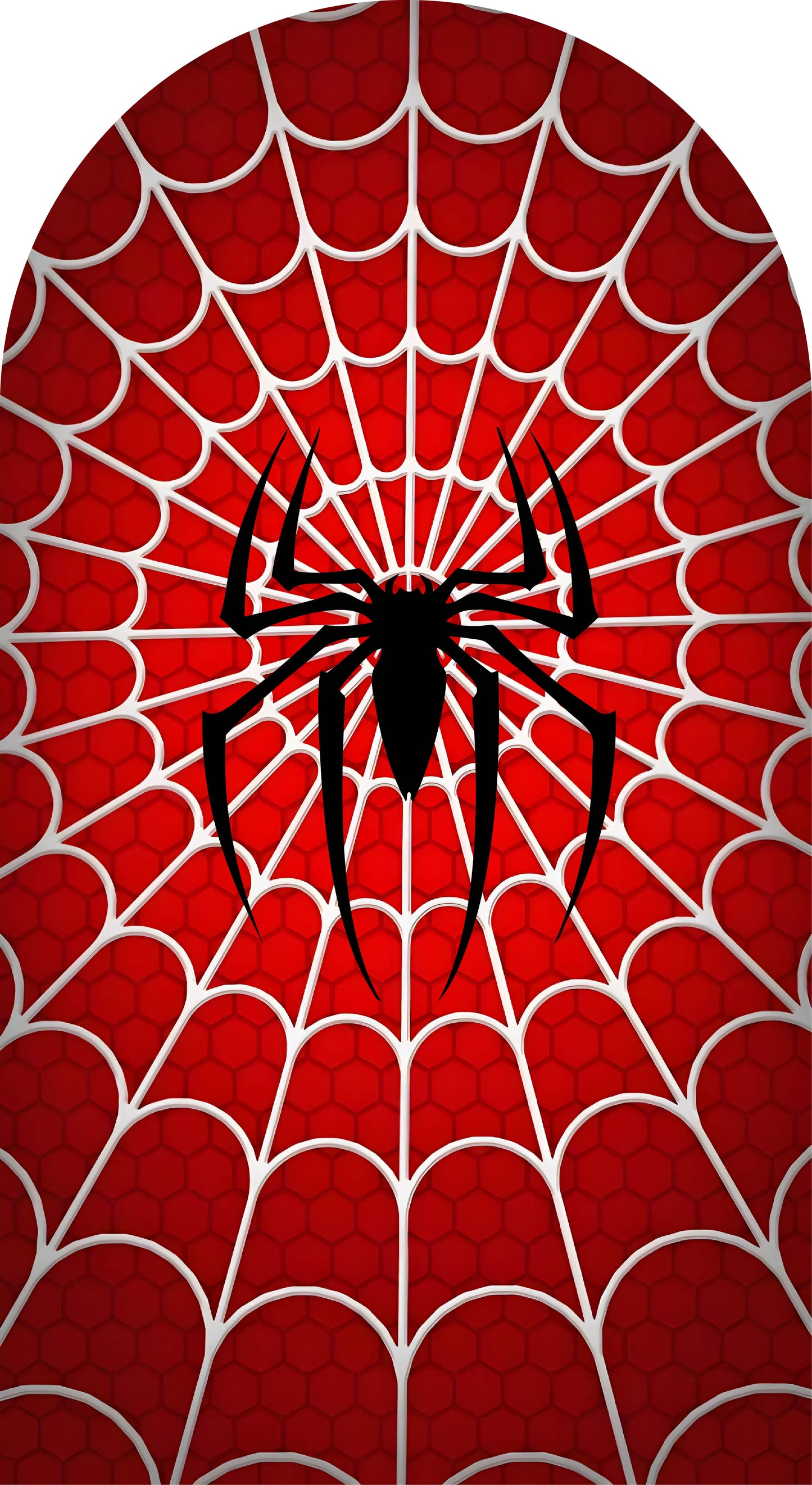 Spider's Web Sailboard